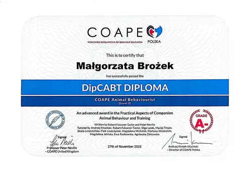 Dyplom COAPE