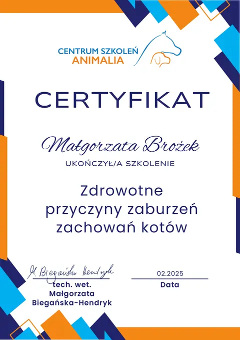 Certyfikat szkoleniowy