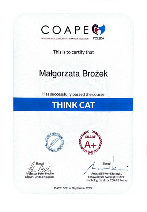 Certyfikat szkoleniowy