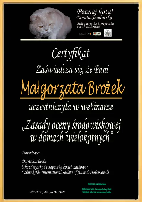 Certyfikat szkoleniowy