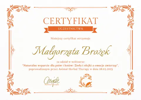 Certyfikat szkoleniowy