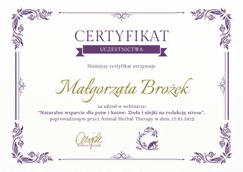 Certyfikat szkoleniowy
