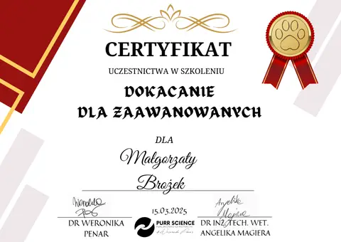 Certyfikat szkoleniowy