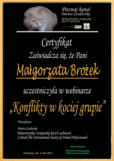 Certyfikat szkoleniowy