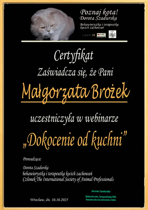 Certyfikat szkoleniowy