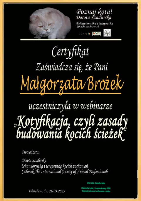 Certyfikat szkoleniowy