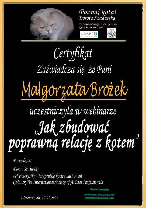 Certyfikat szkoleniowy