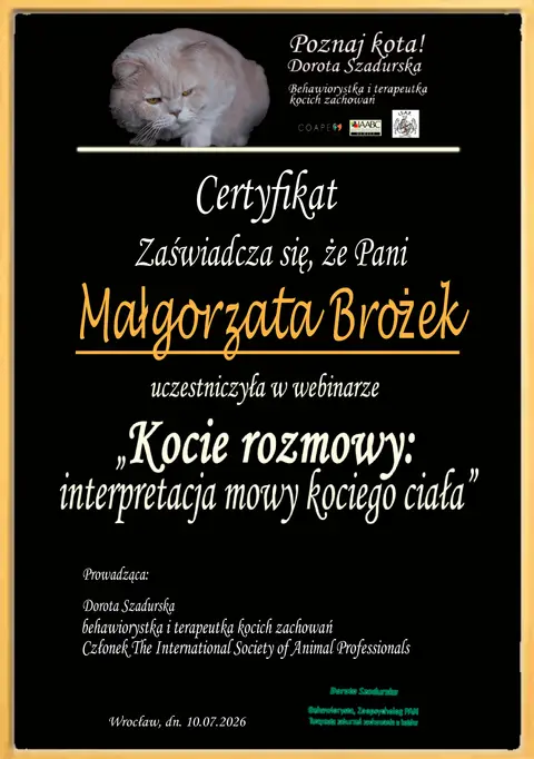 Certyfikat udziału w webinarze Kocie rozmowy: interpretacja mowy kociego ciała